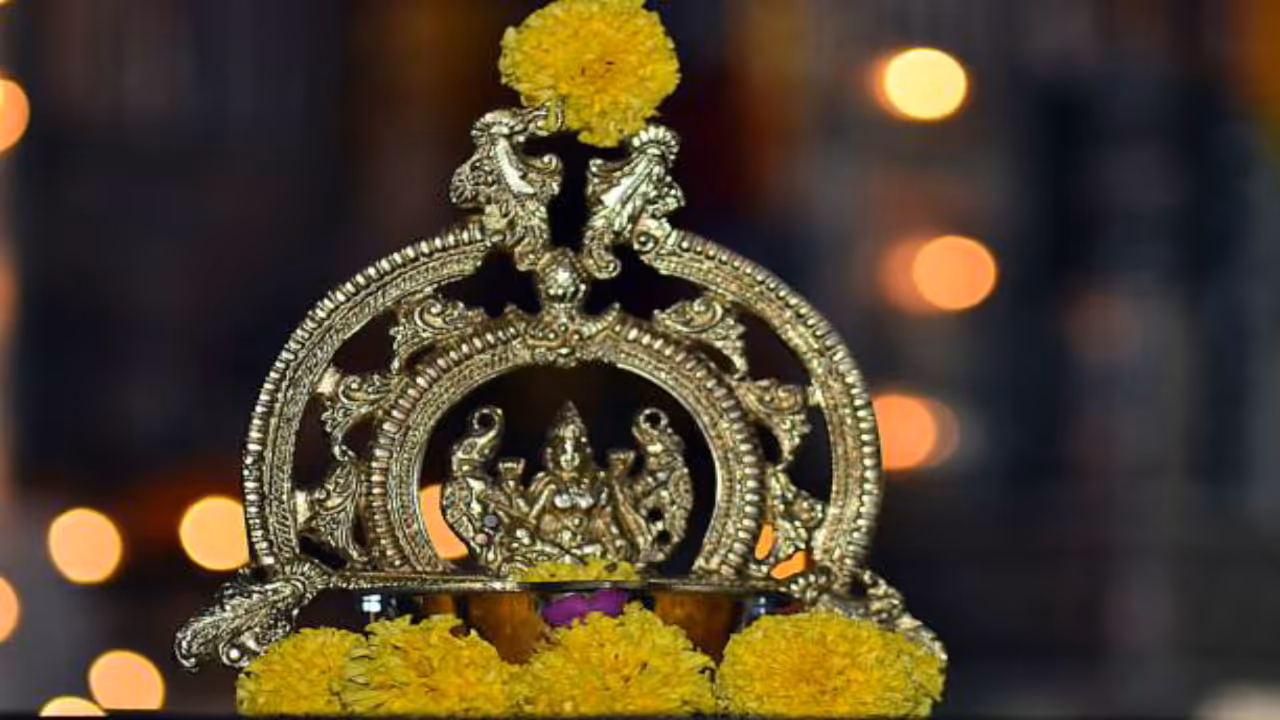 லட்சுமியின் வாகனமா? லட்சுமியின் வாகனமா?