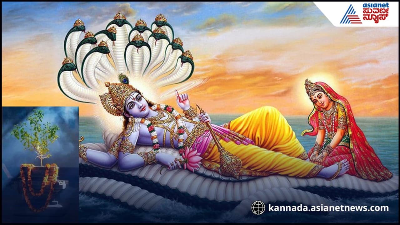 ನಿರ್ಜಲ ಏಕಾದಶಿ ನಿರ್ಜಲ ಏಕಾದಶಿ