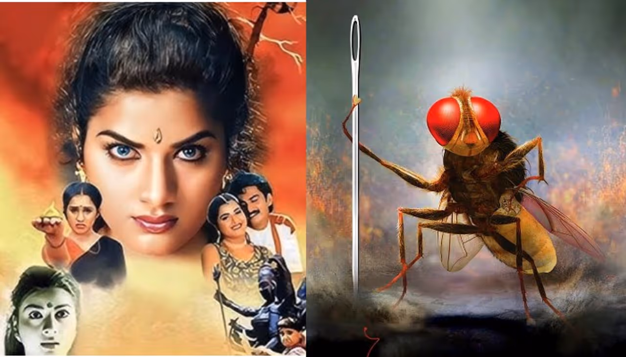 Pan India Movies Pan India Movies