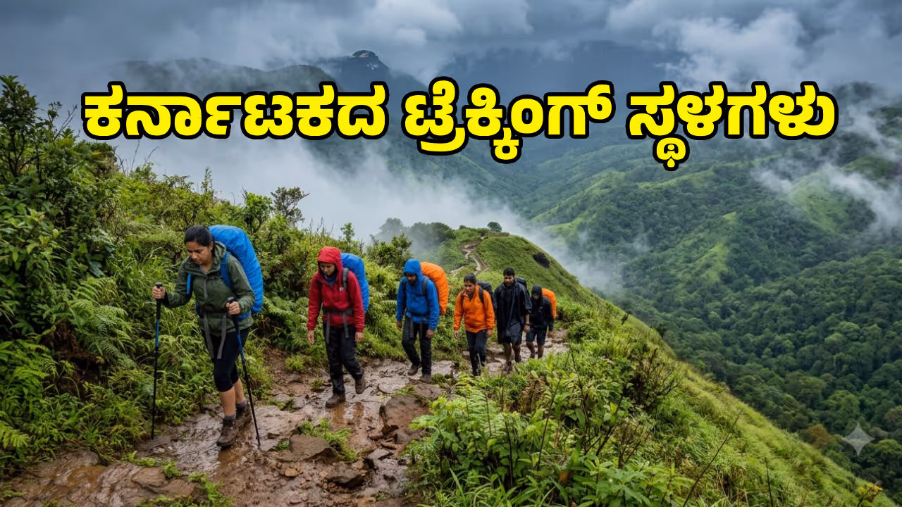 ಕುದುರೆಮುಖ ಚಾರಣ (Kudremukh Trek) ಕುದುರೆಮುಖ ಚಾರಣ (Kudremukh Trek)