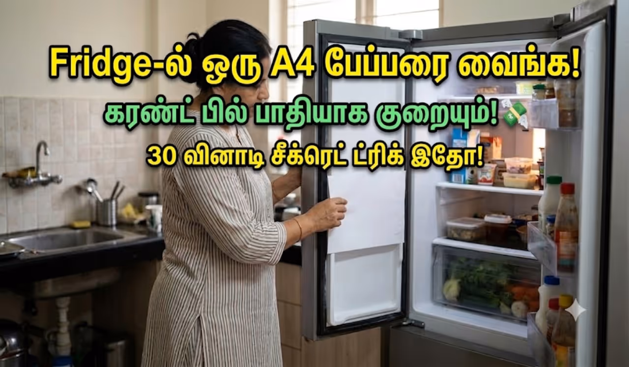 மின்சாரத்தை உறிஞ்சி எடுக்கும் பிரிட்ஜ் மின்சாரத்தை உறிஞ்சி எடுக்கும் பிரிட்ஜ்