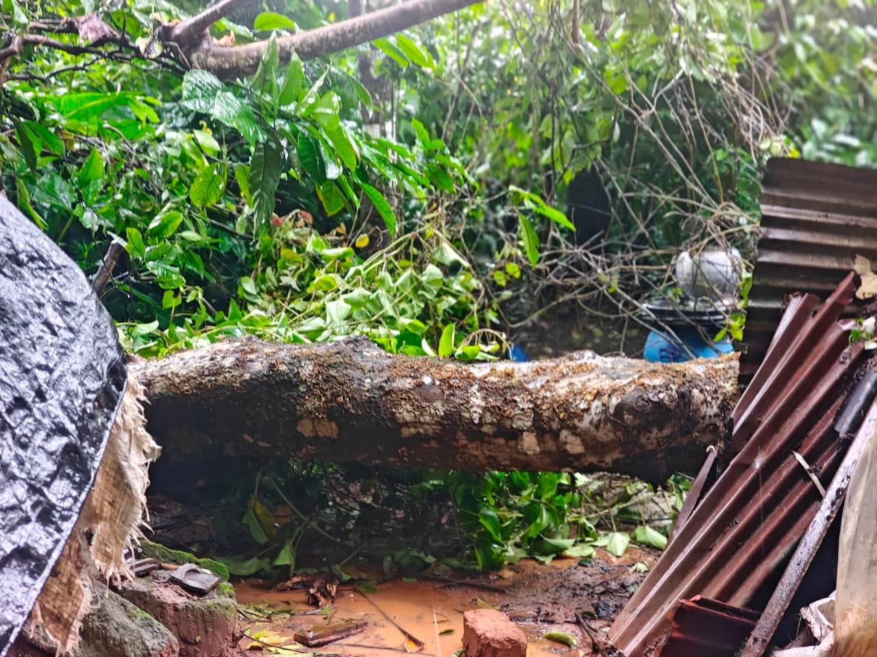 Chikkamagaluru Rains: ಮಲೆನಾಡಲ್ಲಿ ಗಾಳಿ ಮಳೆ ಅಬ್ಬರ೧ Chikkamagaluru Rains: ಮಲೆನಾಡಲ್ಲಿ ಗಾಳಿ ಮಳೆ ಅಬ್ಬರ೧