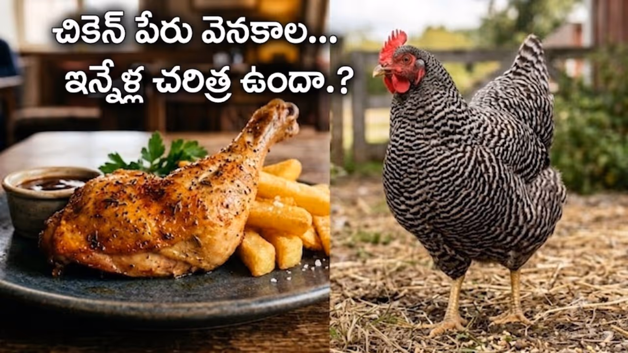 జంతువుల పేర్లు ఒకలా.. మాంసాల పేర్లు మరోలా ఎందుకు ఉన్నాయి? జంతువుల పేర్లు ఒకలా.. మాంసాల పేర్లు మరోలా ఎందుకు ఉన్నాయి?