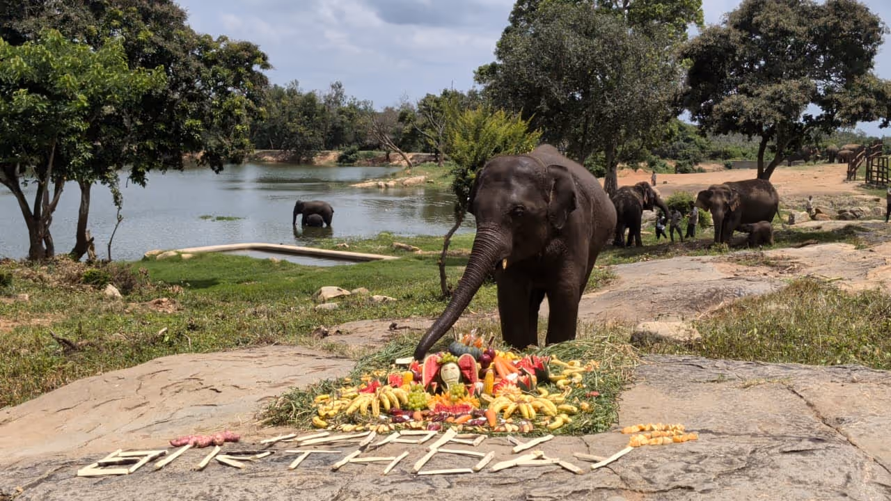 ಹುಟ್ಟುಹಬ್ಬದ ಸಂಭ್ರಮ ಹುಟ್ಟುಹಬ್ಬದ ಸಂಭ್ರಮ