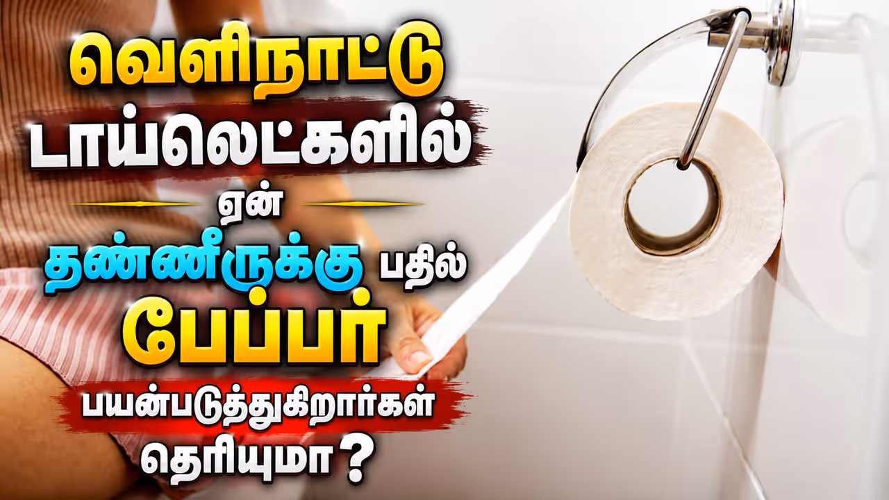 Toilet paper vs water Toilet paper vs water