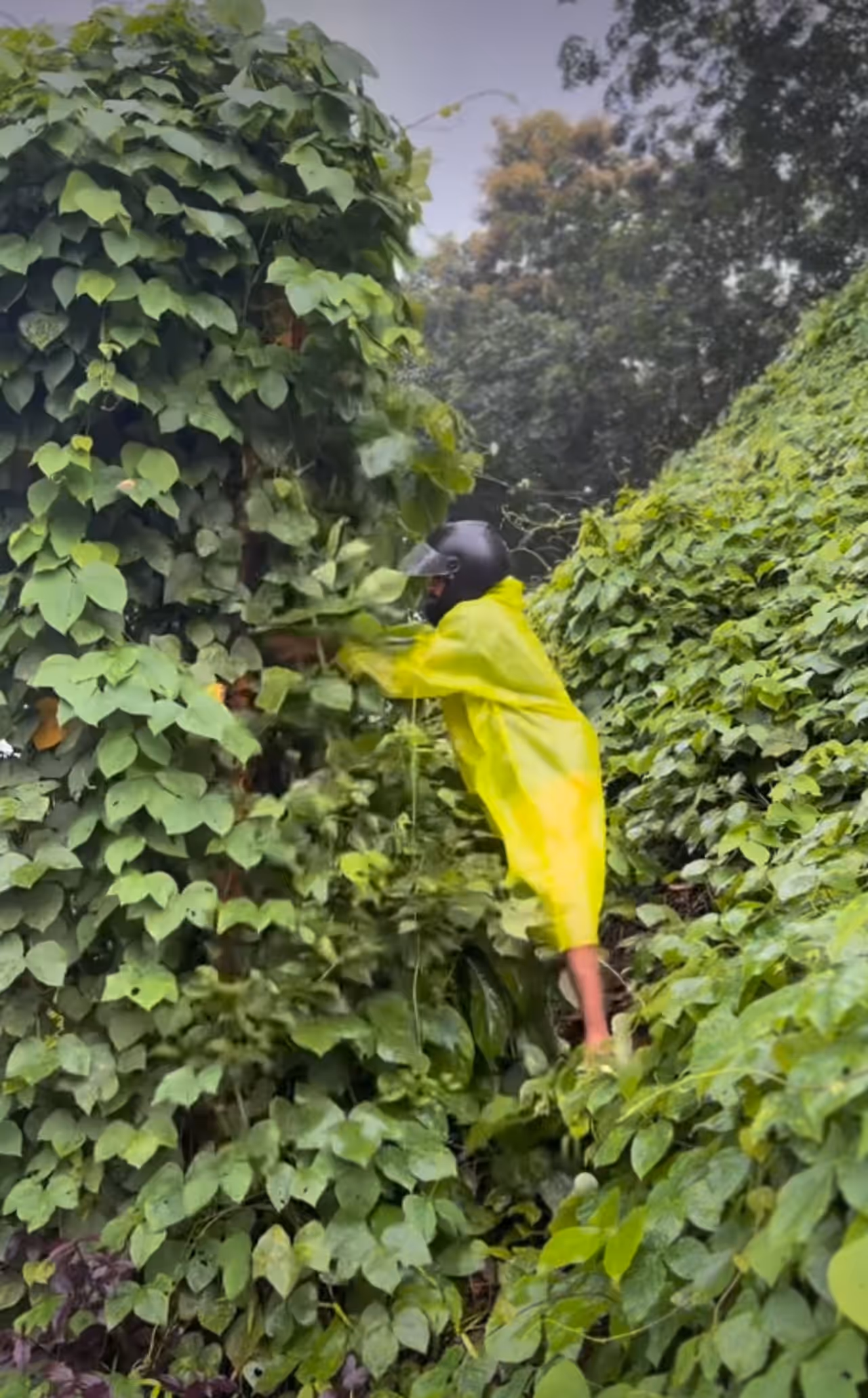 Kerala rain: Viral video shows citizen stepping in Kerala rain: Viral video shows citizen stepping in