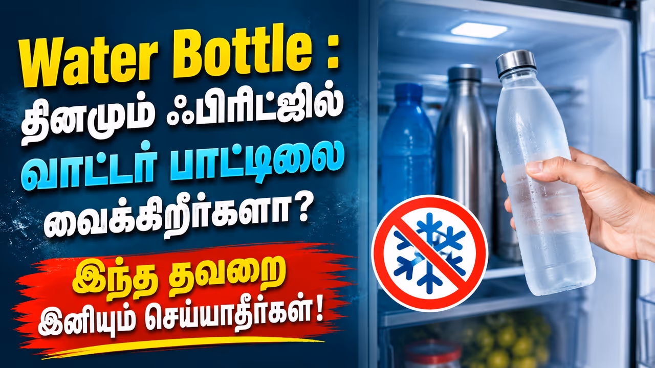 ஃபிரிட்ஜில் தினமும் பாட்டில் வைப்பது நல்லதா? எந்த பாட்டில்கள் பாதுகாப்பானவை? ஃபிரிட்ஜில் தினமும் பாட்டில் வைப்பது நல்லதா? எந்த பாட்டில்கள் பாதுகாப்பானவை?