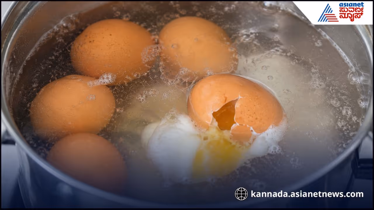 ಮೊಟ್ಟೆ ಬೇಯಿಸೋ ಹ್ಯಾಕ್ ಮೊಟ್ಟೆ ಬೇಯಿಸೋ ಹ್ಯಾಕ್