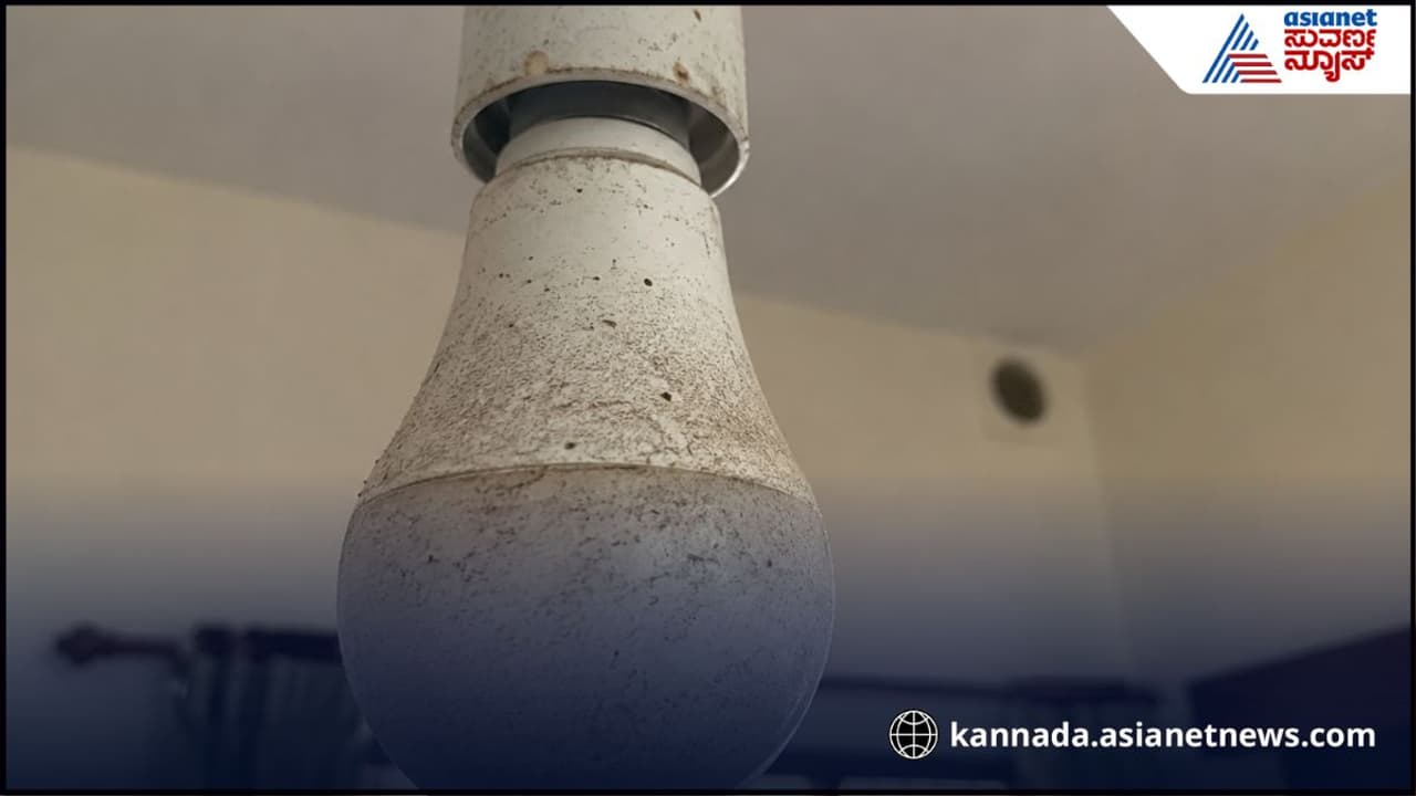 ಬಲ್ಬ್ ಮೇಲೆ ಧೂಳು ಬಲ್ಬ್ ಮೇಲೆ ಧೂಳು