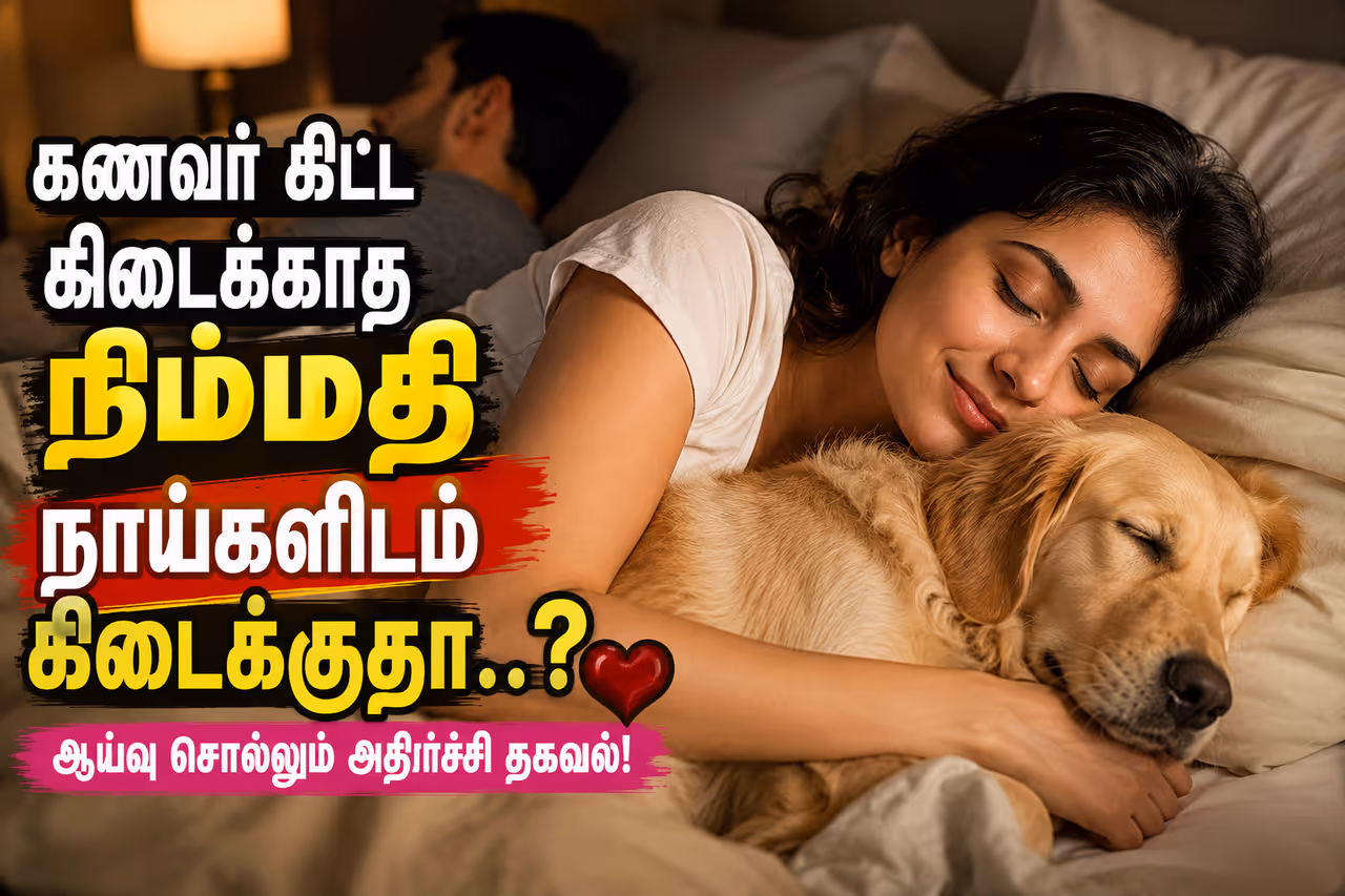 கணவர் இல்லை, நாயுடன் தூங்கினால் நிம்மதி! கணவர் இல்லை, நாயுடன் தூங்கினால் நிம்மதி!