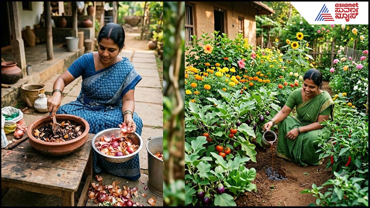 ಈರುಳ್ಳಿ ಸಿಪ್ಪೆ ಗೊಬ್ಬರ ಈರುಳ್ಳಿ ಸಿಪ್ಪೆ ಗೊಬ್ಬರ