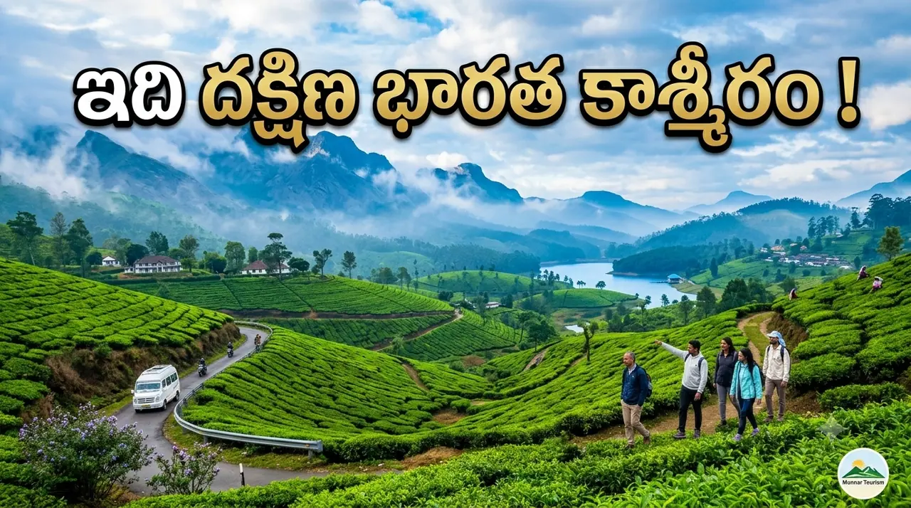 12 ఏళ్లకు ఒక్కసారే వికసించే అరుదైన పువ్వులు, మంచు మేఘాలు.. మున్నార్కు ఎలా వెళ్లాలో తెలుసా? 12 ఏళ్లకు ఒక్కసారే వికసించే అరుదైన పువ్వులు, మంచు మేఘాలు.. మున్నార్కు ఎలా వెళ్లాలో తెలుసా?