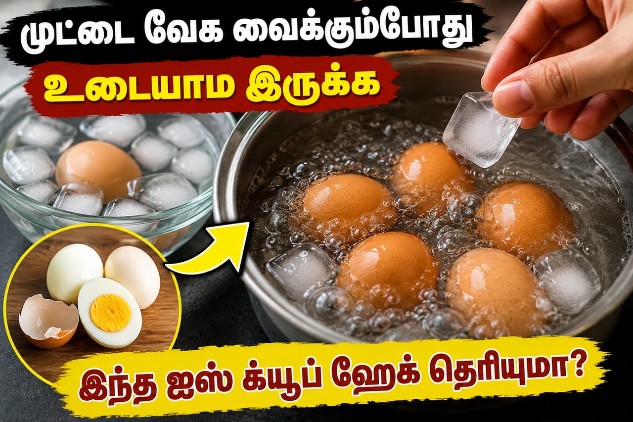 முட்டை ஏன் வேக வைக்கும் போது உடைகிறது? முட்டை ஏன் வேக வைக்கும் போது உடைகிறது?