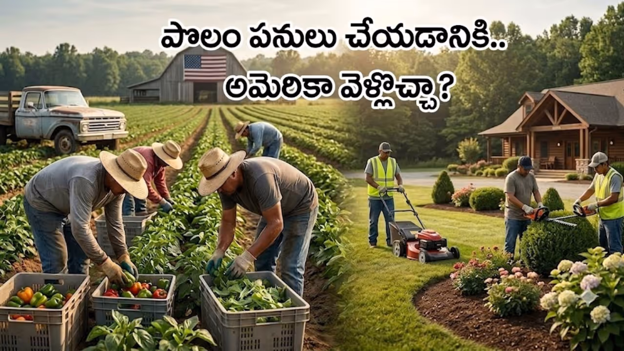 హోటల్, గార్డెనింగ్ పనులకు H 2B వీసా హోటల్, గార్డెనింగ్ పనులకు H 2B వీసా