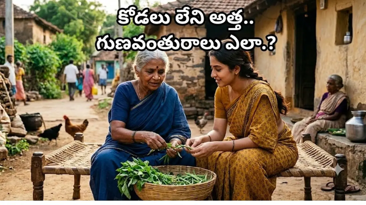 కోడలు లేకపోతే అత్తకు ఎలాంటి విమర్శలు ఉండవు కోడలు లేకపోతే అత్తకు ఎలాంటి విమర్శలు ఉండవు