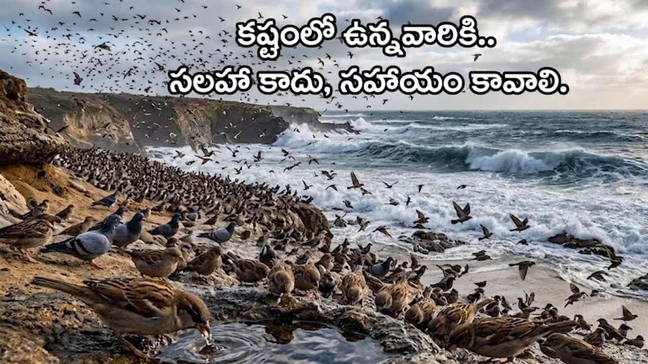 అలల్లో కలిసిపోయిన మూడు ప్రాణాలు.. తల్లి పిచ్చుక ఆవేదన అలల్లో కలిసిపోయిన మూడు ప్రాణాలు.. తల్లి పిచ్చుక ఆవేదన