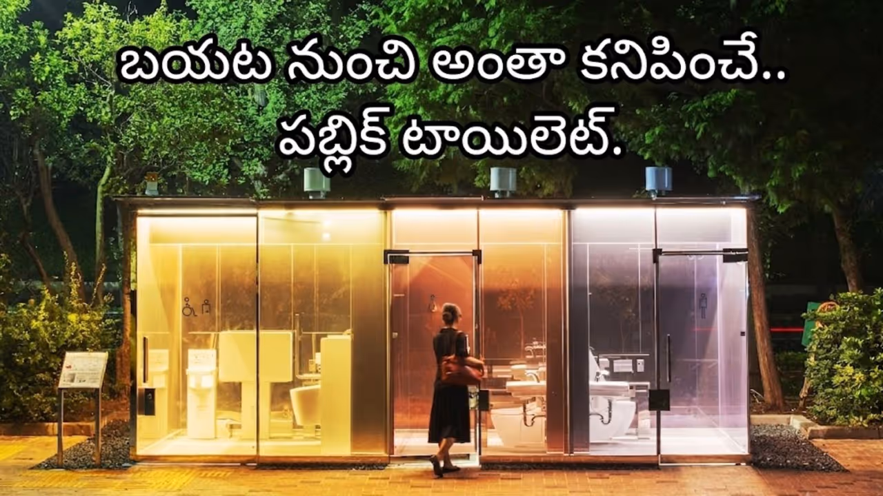 ఈ పారదర్శక టాయిలెట్లు ఎలా పనిచేస్తాయి? ఈ పారదర్శక టాయిలెట్లు ఎలా పనిచేస్తాయి?