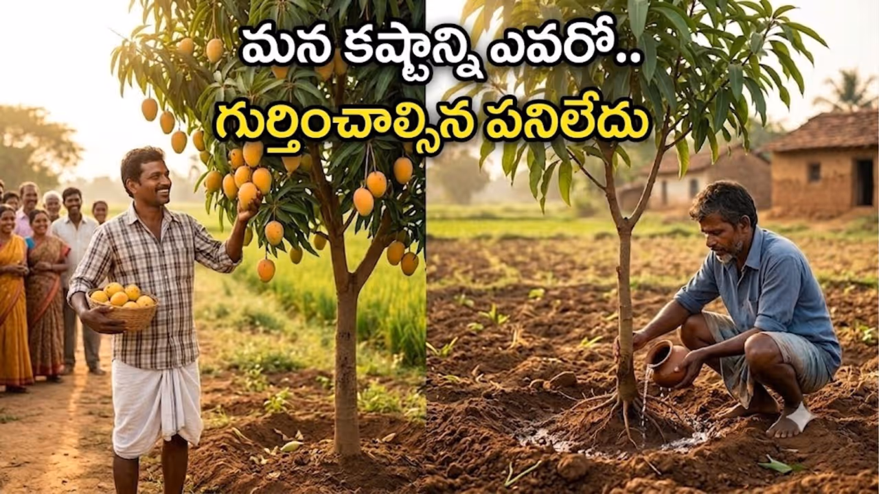 అందరూ చూసేది పండ్లనే.. వేర్లను కాదు అందరూ చూసేది పండ్లనే.. వేర్లను కాదు