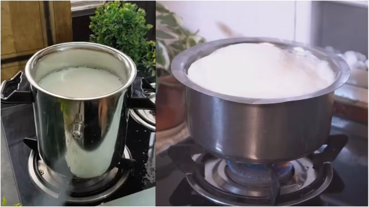 सतत दूध उकळणे योग्य आहे का? सतत दूध उकळणे योग्य आहे का?