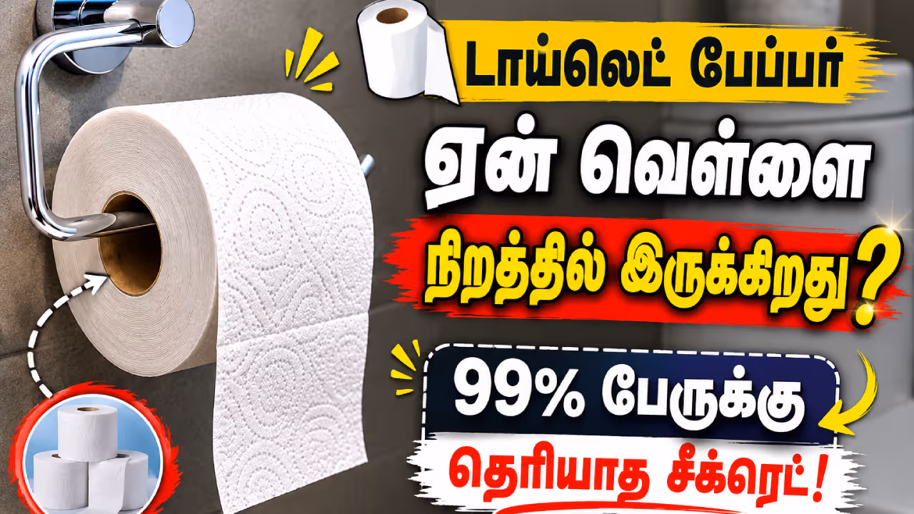 Toilet paper Color Toilet paper Color