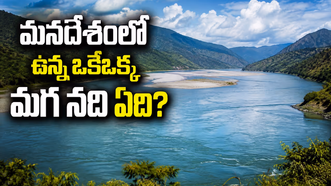ఒకే ఒక్క మగనది ఏది? ఒకే ఒక్క మగనది ఏది?
