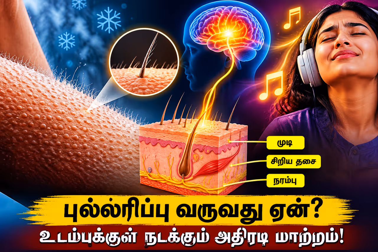 உடலில் திடீரென புல்லரிப்பு உடலில் திடீரென புல்லரிப்பு