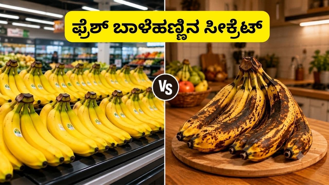 ನಿಮ್ಮ ಮನೆಯಲ್ಲಿ ಬಾಳೆಹಣ್ಣು ವಾರಗಟ್ಟಲೆ ಹಾಳಾಗಬಾರದೇ? ನಿಮ್ಮ ಮನೆಯಲ್ಲಿ ಬಾಳೆಹಣ್ಣು ವಾರಗಟ್ಟಲೆ ಹಾಳಾಗಬಾರದೇ?