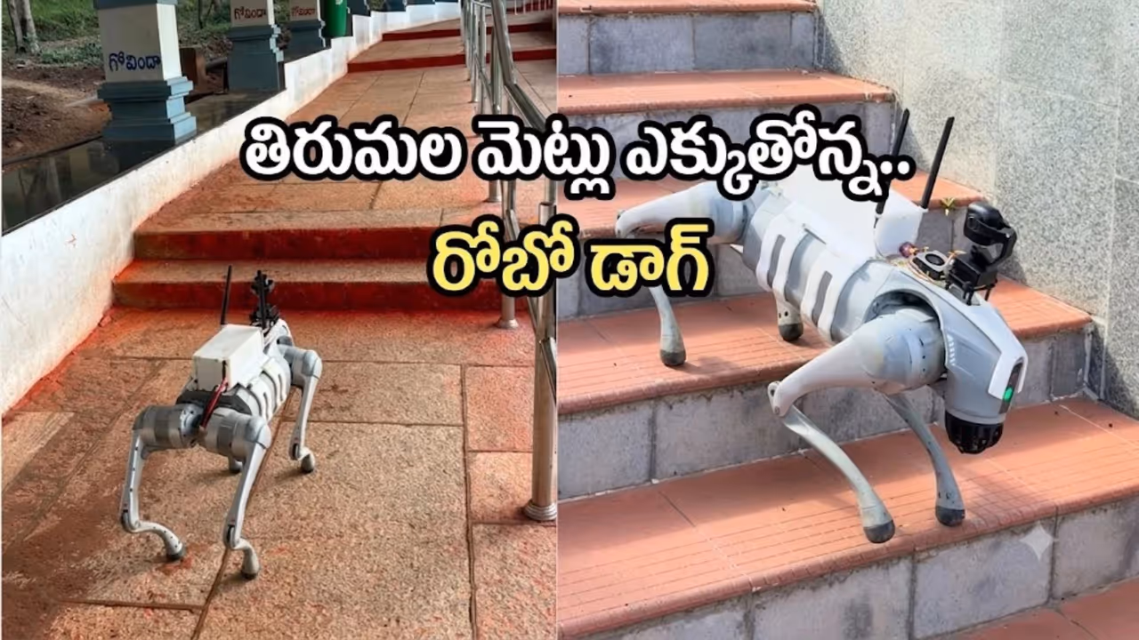 ప్రమాదకర ప్రాంతాల్లోనూ సులభంగా కదలిక ప్రమాదకర ప్రాంతాల్లోనూ సులభంగా కదలిక