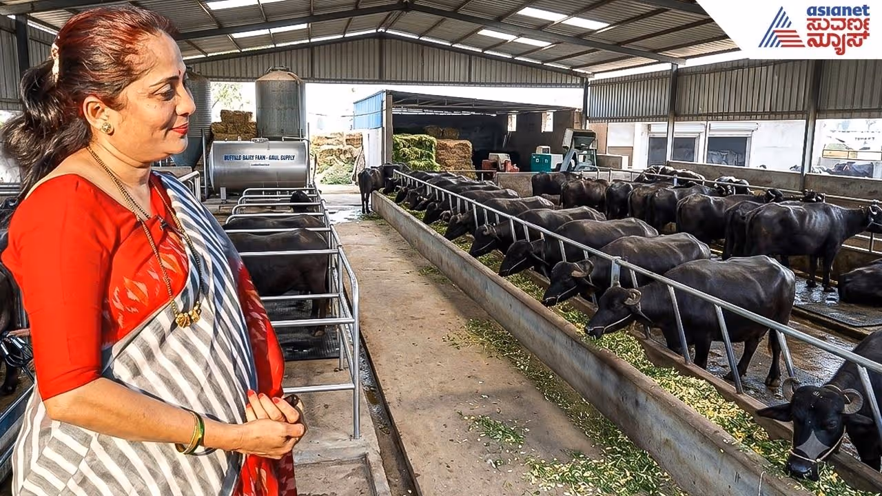 ಹೈನುಗಾರಿಕೆಯಲ್ಲಿ ಕಲಬುರಗಿ ಮಹಿಳೆ ಸಕ್ಸಸ್ ಹೈನುಗಾರಿಕೆಯಲ್ಲಿ ಕಲಬುರಗಿ ಮಹಿಳೆ ಸಕ್ಸಸ್