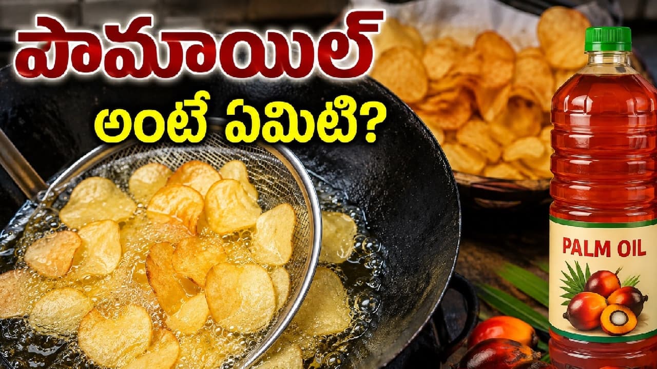 అసలు పామాయిల్ అంటే ఏంటి? అసలు పామాయిల్ అంటే ఏంటి?