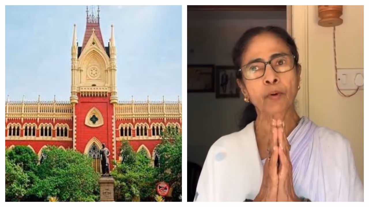হাইকোর্টে ধাক্কা কালীঘাট তৃণমূলের হাইকোর্টে ধাক্কা কালীঘাট তৃণমূলের