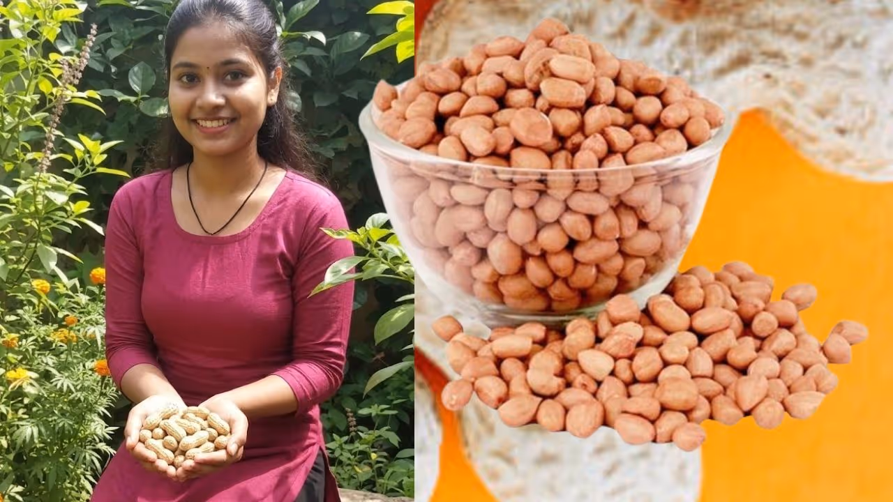 ಕಡಲೆಕಾಯಿಯ ಅದ್ಭುತ ಆರೋಗ್ಯ ಪ್ರಯೋಜನಗಳು! ಕಡಲೆಕಾಯಿಯ ಅದ್ಭುತ ಆರೋಗ್ಯ ಪ್ರಯೋಜನಗಳು!