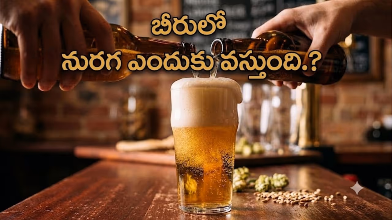 బీర్కు సుమారు 6 వేల ఏళ్ల చరిత్ర బీర్కు సుమారు 6 వేల ఏళ్ల చరిత్ర