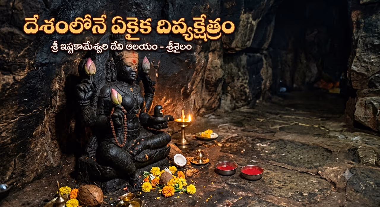 41 రోజుల్లో కోరికలు తీర్చే ఇష్టకామేశ్వరి.. శ్రీశైలంలో ఈ రహస్య ఆలయం గురించి మీకు తెలుసా? 41 రోజుల్లో కోరికలు తీర్చే ఇష్టకామేశ్వరి.. శ్రీశైలంలో ఈ రహస్య ఆలయం గురించి మీకు తెలుసా?