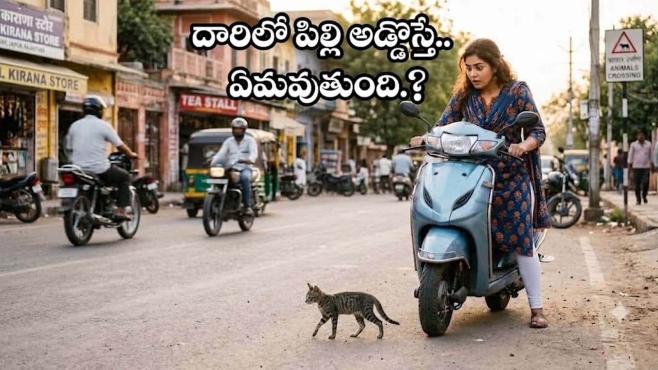 పిల్లి అడ్డొస్తే ఎందుకు ఆగుతారు? పిల్లి అడ్డొస్తే ఎందుకు ఆగుతారు?