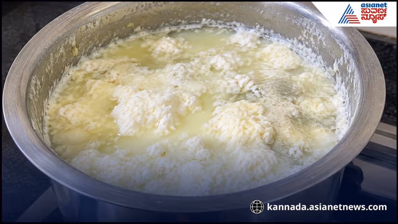 ಕಾಯಿಸಿದ ಹಾಲನ್ನು ಹೀಗಿಡಬೇಡಿ ಕಾಯಿಸಿದ ಹಾಲನ್ನು ಹೀಗಿಡಬೇಡಿ