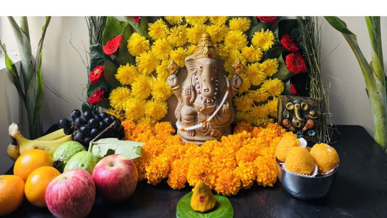 விநாயகருக்கு 21 வகையான இலைகள் விநாயகருக்கு 21 வகையான இலைகள்