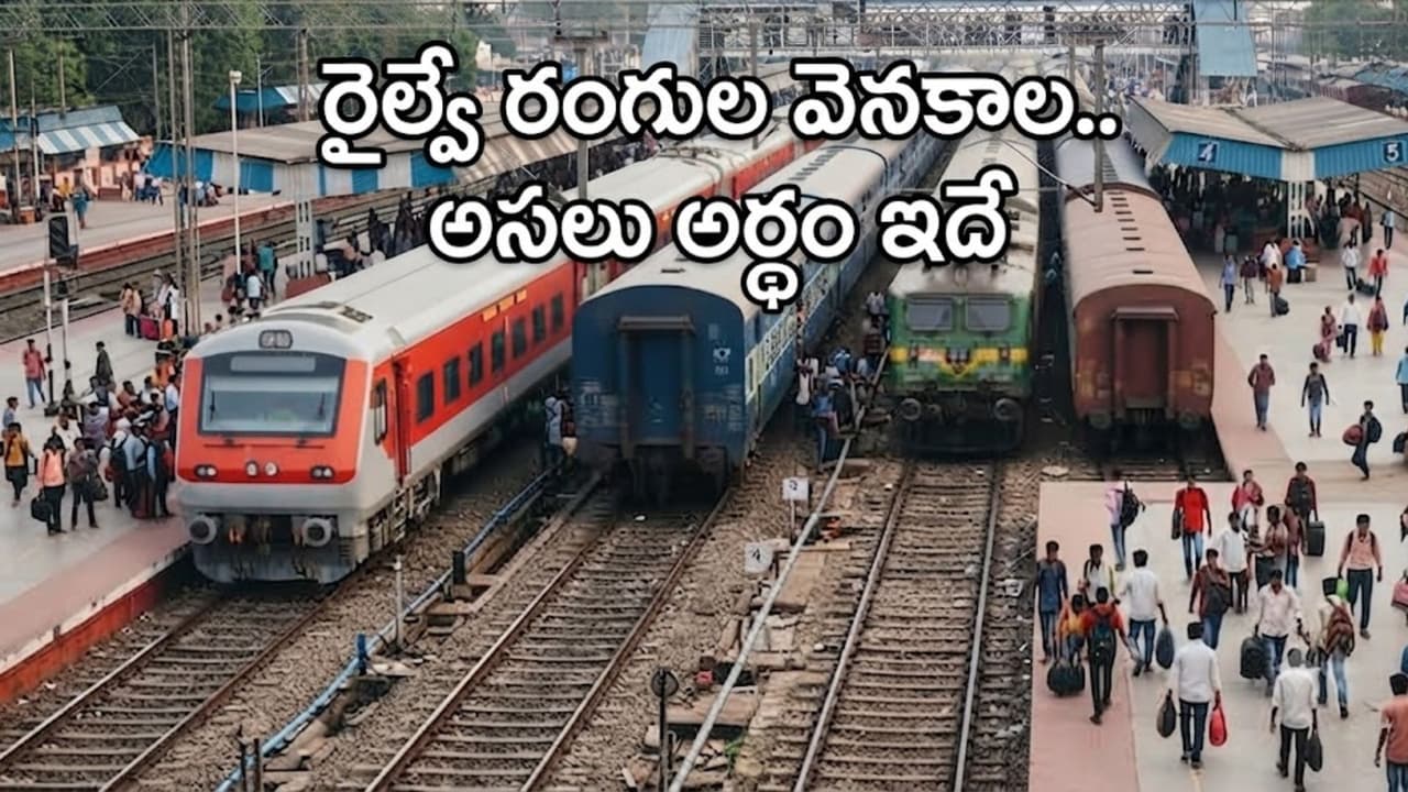 నీలం రంగు కోచ్లు ఏం సూచిస్తాయి? నీలం రంగు కోచ్లు ఏం సూచిస్తాయి?