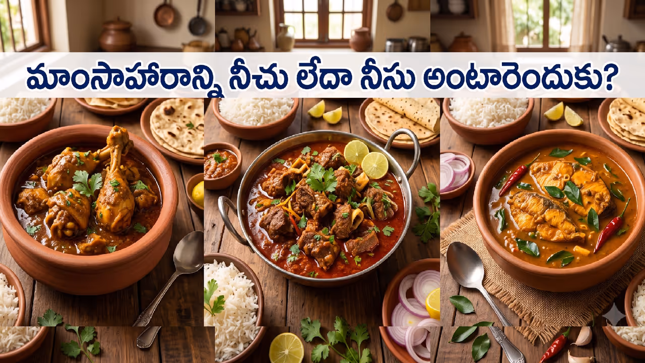 మాంసాన్ని నీచు అంటారెందుకు? మాంసాన్ని నీచు అంటారెందుకు?