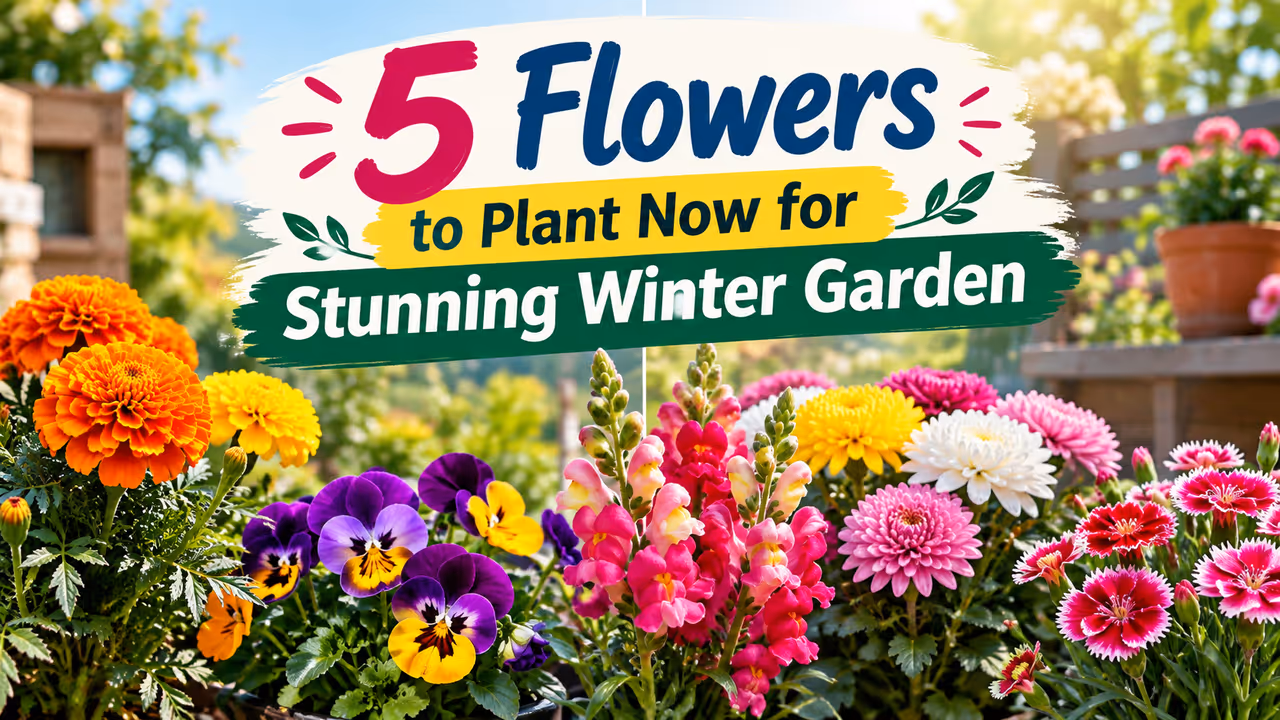 5 Flowers for Stunning Winter Garden 5 Flowers for Stunning Winter Garden