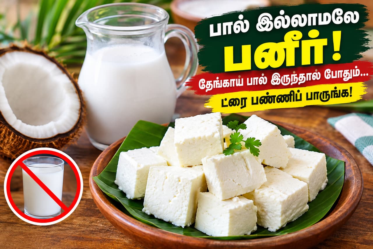 தேங்காய் பால் பனீர்..! தேங்காய் பால் பனீர்..!
