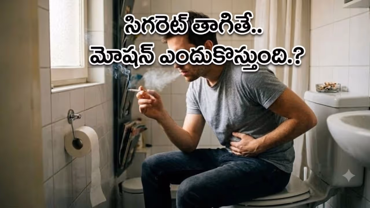 సిగరెట్ తాగితే మల విసర్జన ఎందుకు వస్తుంది? సిగరెట్ తాగితే మల విసర్జన ఎందుకు వస్తుంది?