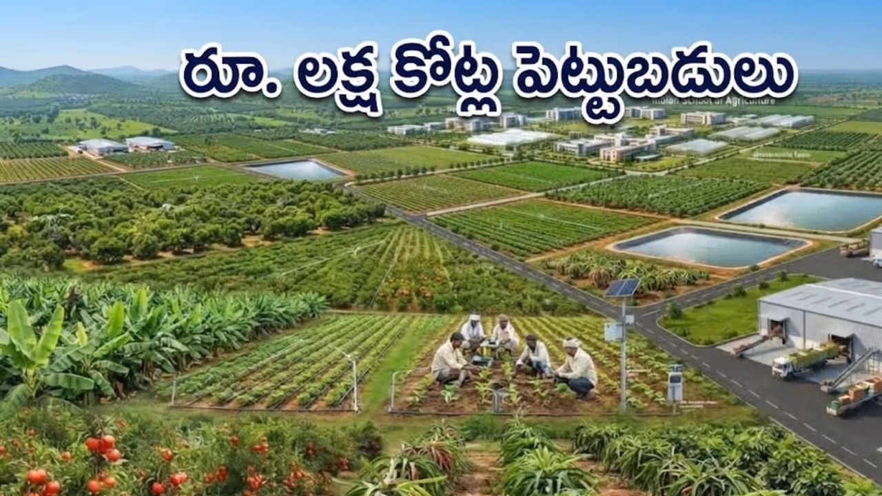 రాయలసీమ ఉద్యాన హబ్ ప్రాజెక్టు రాయలసీమ ఉద్యాన హబ్ ప్రాజెక్టు