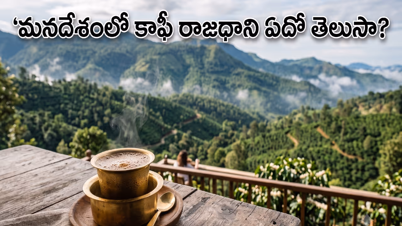 కాఫీ క్యాపిటల్ ఏది? కాఫీ క్యాపిటల్ ఏది?
