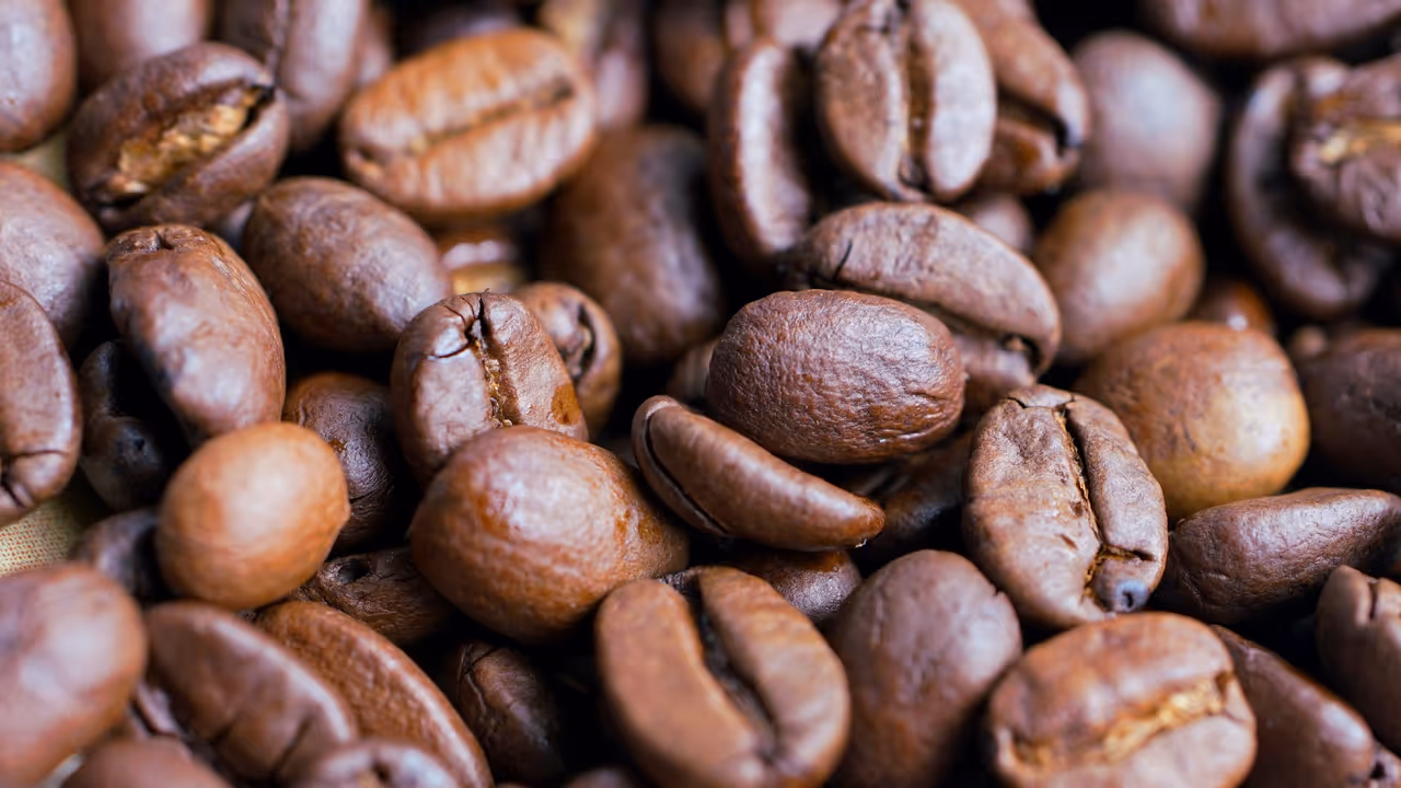 Which is the coffee capital? Which is the coffee capital?