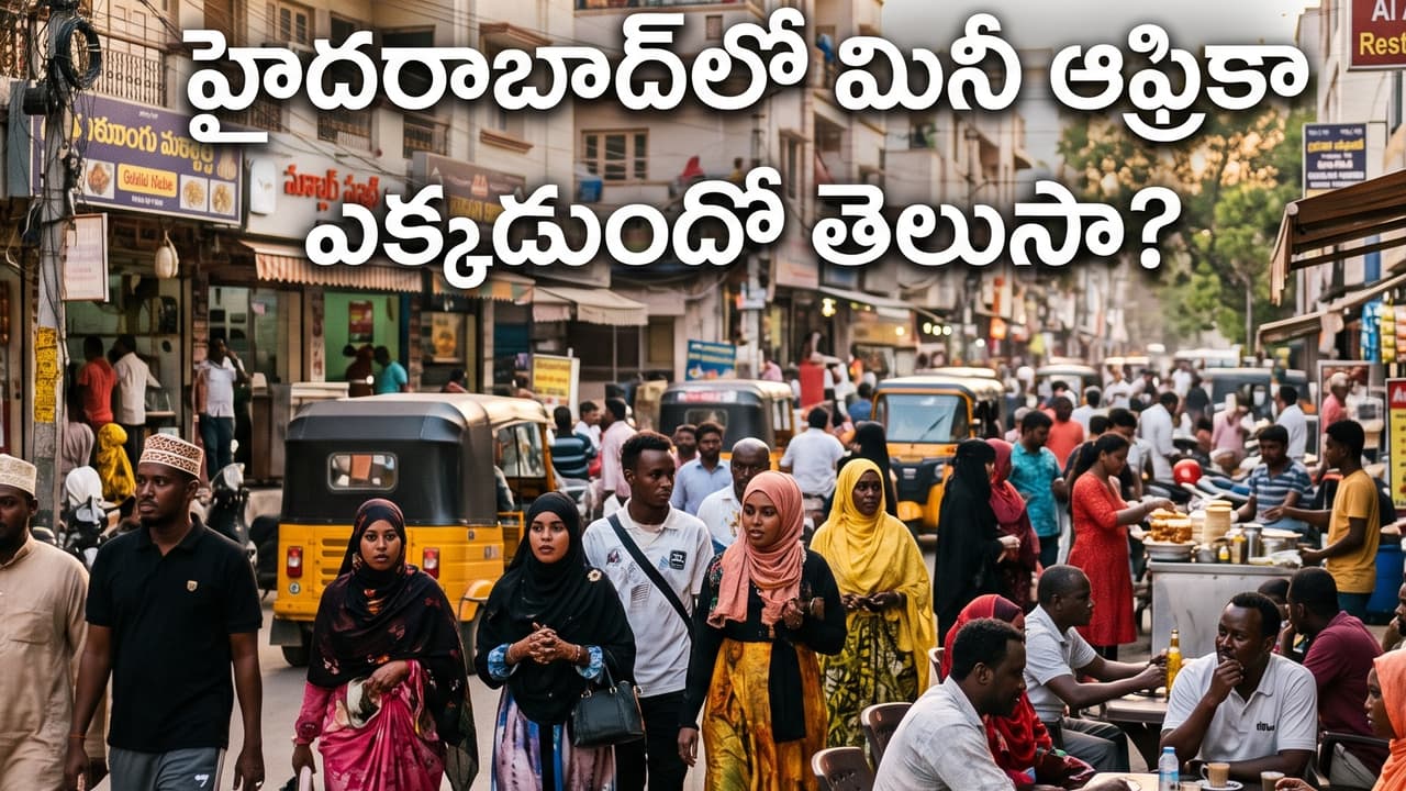 హైదరాబాద్లో మినీ ఆఫ్రికా ఎక్కడుంది? హైదరాబాద్లో మినీ ఆఫ్రికా ఎక్కడుంది?