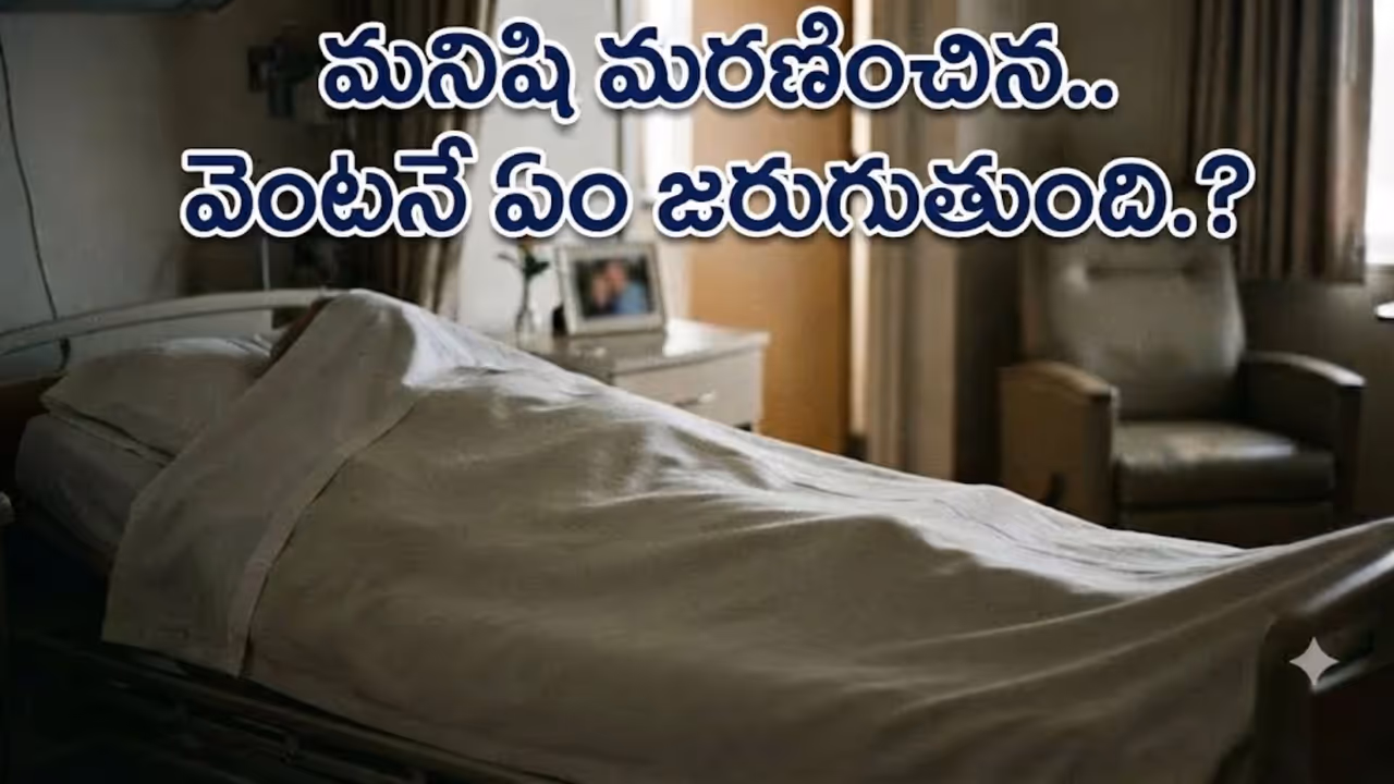 మొదట కండరాలు వదులుగా మారతాయి మొదట కండరాలు వదులుగా మారతాయి