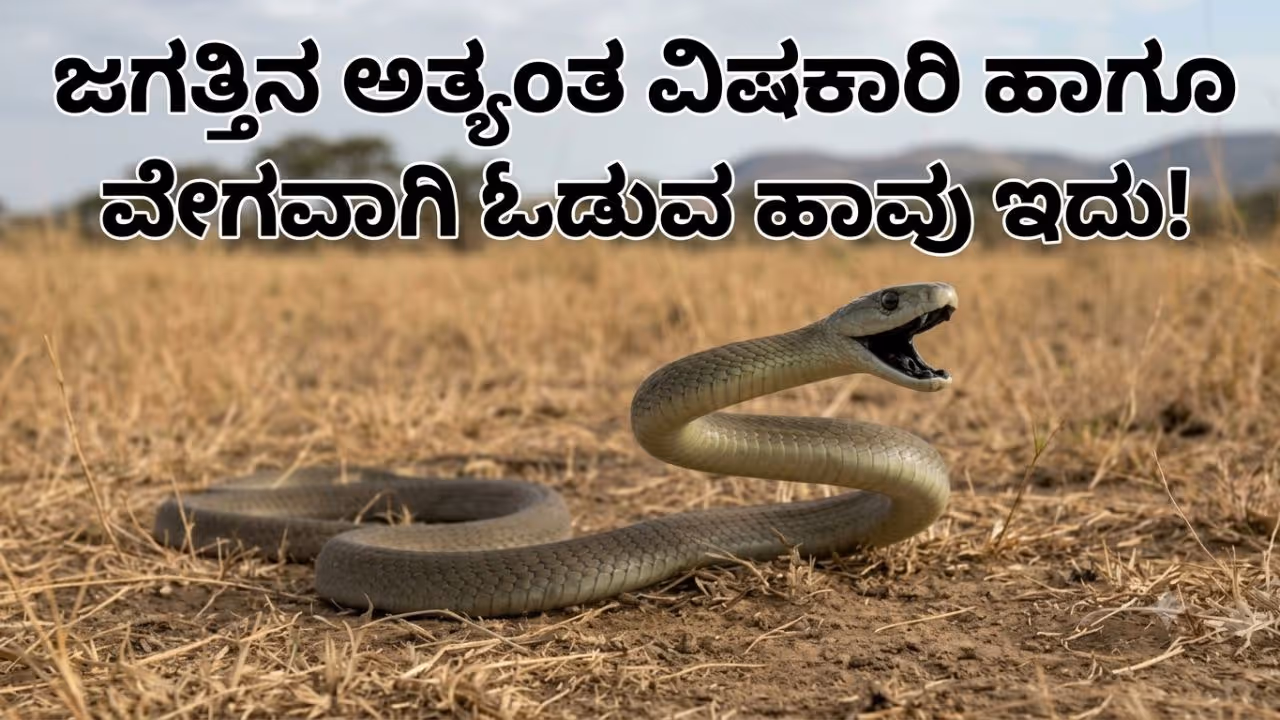 ಗಂಟೆಗೆ 20 ಕಿಲೋಮೀಟರ್ ವೇಗದಲ್ಲಿ ಚಲಿಸುತ್ತದೆ ಗಂಟೆಗೆ 20 ಕಿಲೋಮೀಟರ್ ವೇಗದಲ್ಲಿ ಚಲಿಸುತ್ತದೆ