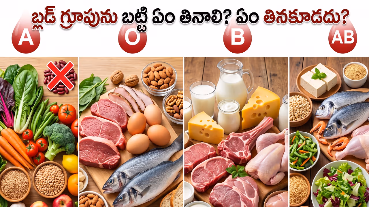 బ్లడ్ గ్రూప్ డైట్ అంటే ఏమిటి? బ్లడ్ గ్రూప్ డైట్ అంటే ఏమిటి?