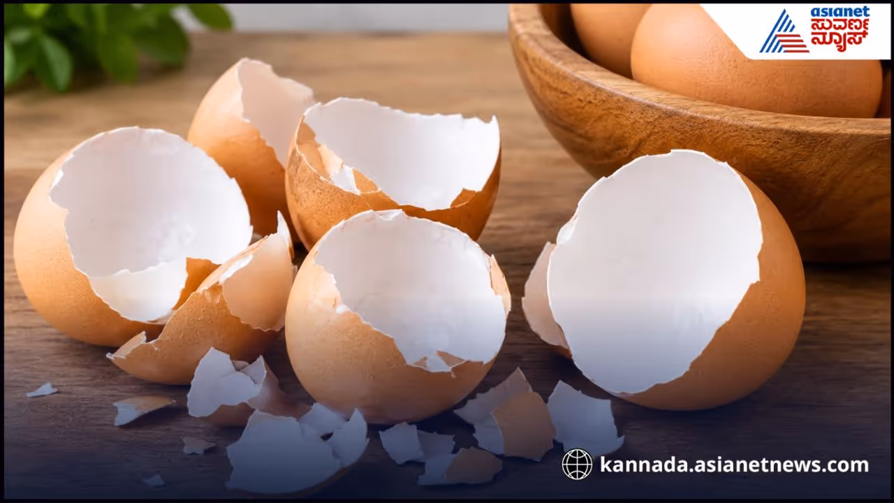 ಮೊಟ್ಟೆ ಸಿಪ್ಪೆಯಲ್ಲೇನಿದೆ? ಮೊಟ್ಟೆ ಸಿಪ್ಪೆಯಲ್ಲೇನಿದೆ?
